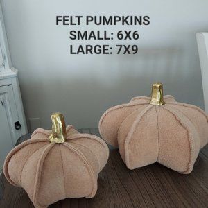 Fall/Halloween Pumpkin Decor (6)